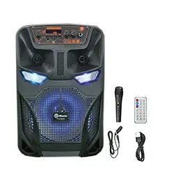 Haut parleur Portable sans-fil Bluetooth 8 pouces TTD-8250 Rechargeable avec Microphone FM Radio Micro SD USB