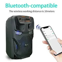 Haut parleur Portable sans-fil Bluetooth 8 pouces TTD-8250 Rechargeable avec Microphone FM Radio Micro SD USB