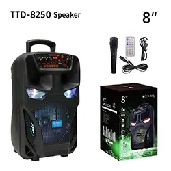 Haut parleur Portable sans-fil Bluetooth 8 pouces TTD-8250 Rechargeable avec Microphone FM Radio Micro SD USB