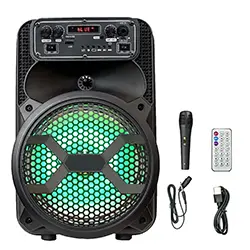Haut parleur Portable sans-fil Bluetooth 8 pouces BK-801 Rechargeable avec Microphone TF AUX Radio FM USB