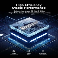 KingSpec M.2 SSD NVMe PCIe 3.0 X4 2242 NX Series