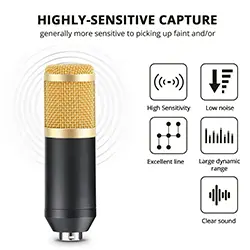 Kit Microphone à condensateur Professional M-800U Avec Support De Fixation - Noir|Doré