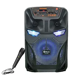 Haut parleur Portable sans-fil Bluetooth 8 pouces TTD-8250 Rechargeable avec Microphone FM Radio Micro SD USB