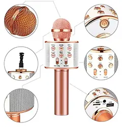 Microphone sans-fil Bluetooth KT-WS858 avec haut parleur AUX USB TF Card